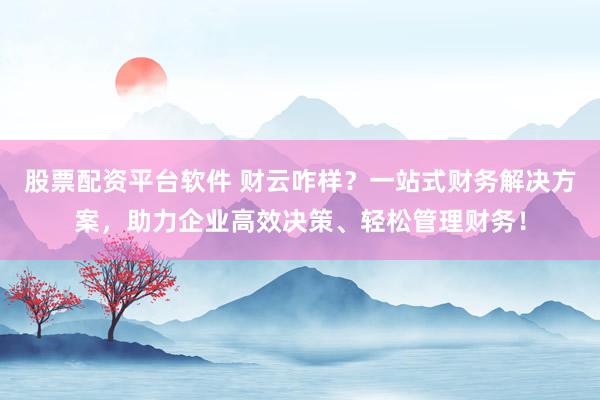 股票配资平台软件 财云咋样？一站式财务解决方案，助力企业高效决策、轻松管理财务！