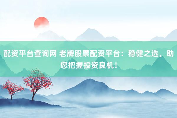 配资平台查询网 老牌股票配资平台：稳健之选，助您把握投资良机！